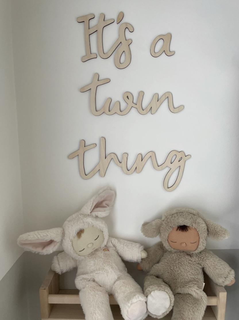 It's A Twin Thing Wall Decor, Wooden Nursery Wall Words, Wooden Wall Lettering, Nursery Wall Art, Twin Nursery Decor, Wooden Wall Sign