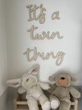 It's A Twin Thing Wall Decor, Wooden Nursery Wall Words, Wooden Wall Lettering, Nursery Wall Art, Twin Nursery Decor, Wooden Wall Sign
